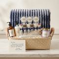 Tech and Territory Silver basket